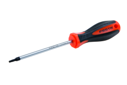 Skrutkova� TORX T10 100mm S2