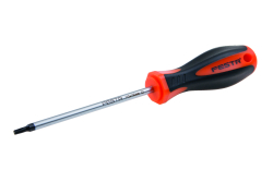 Skrutkova� TORX T15 100mm S2