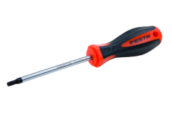 Skrutkova� TORX T25 100mm S2