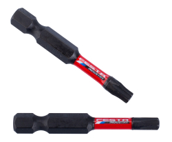 Torzn� bit torx T25 50mm S2 2ks