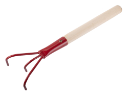 Kypri� trojhrot�, n�sada 27 cm